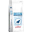Picture of RCVCN JUNIOR LGE DOG DRY