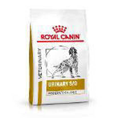 Picture of Royal Canine Dog Urinary S/O Moderate Calorie 12kg