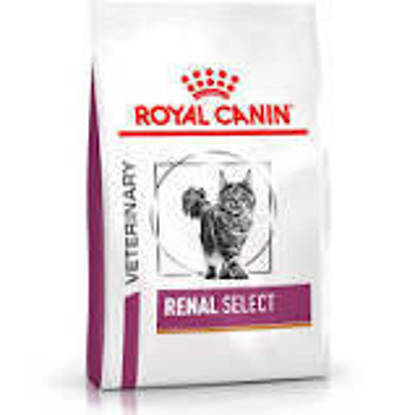 Picture of Royal Canin Dog Renal Select 10kg