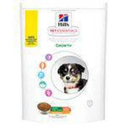 Picture of Hills Vet Essentials Canine Puppy Large Breed Hills 12kg