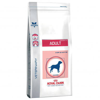 Picture of Royal Canin RCVHN  Canine Adult - 4kg